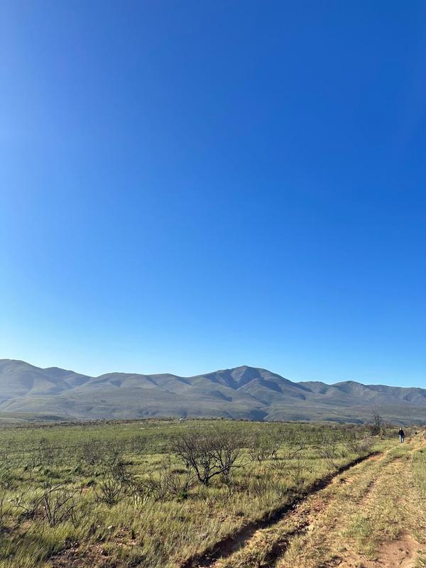 0 Bedroom Property for Sale in Kareedouw Eastern Cape